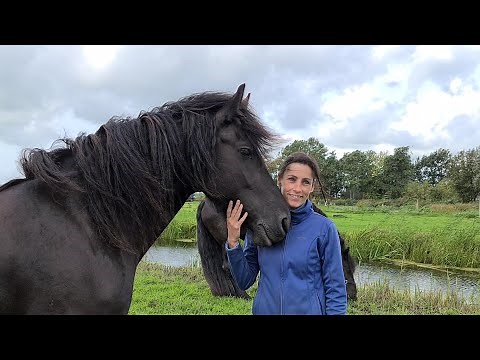 Yvonne meets Yvonne the Friesian horse. Her namesake.