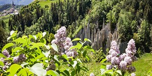 Earth Pyramids Renon / Ritten in South Tyrol, Bolzano