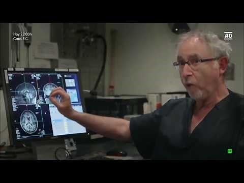 ¿Cómo funciona un cerebro inteligente?