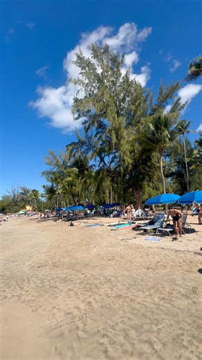 Un martes navideño en el Balneario de Luquillo ❤️🎄🤣 #fblifestyle | Tíratepr