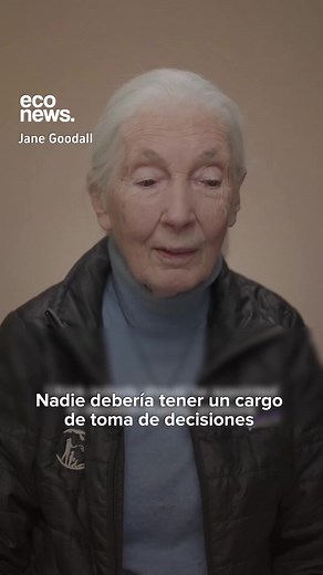 2.2K views · 33 reactions | Pensemos en el futuro.... | Chef Betty | Facebook