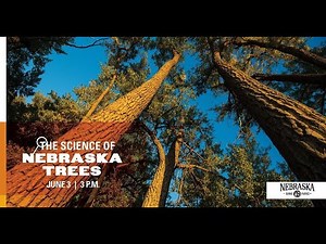 The Science of...Nebraska Trees