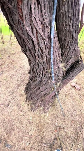 Replying to @micheljacks_alt_acc Which of these hides would be your favorite?! Sometimes I find the cache within seconds, other times I spend an hour searching! 💀 #Geocaching #CacheMeIfYouCan #Hullsome