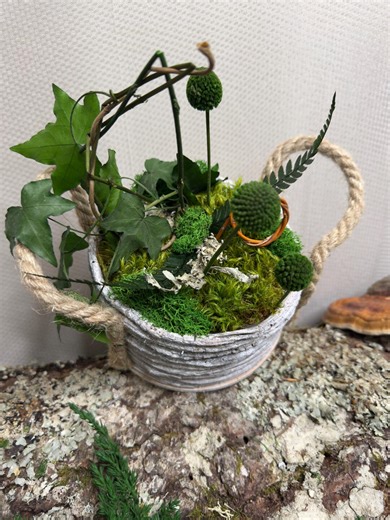 Preserved Moss Table Decor – Natural Moss Arrangement, Handmade, Ø15 Cm - Etsy