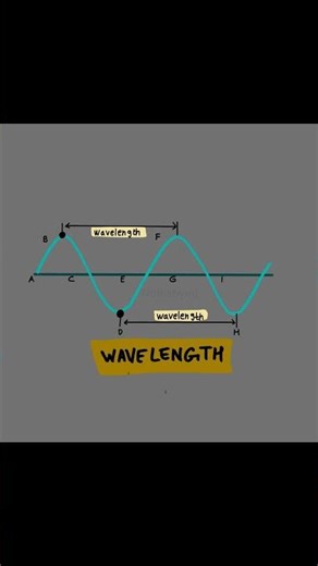 Wavelength Explained | Wave Graph Diagram 🌊