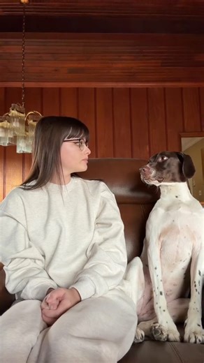 GSP Planet | German Shorthaired Pointer on Instagram: "The video features a charming and unintentionally perfect 19-second clip where a German Shorthaired Pointer sits beside its owner creating a striking visual similarity that no one planned. As the moment unfolds, viewers quickly notice how the dog’s white body and brown head perfectly match the owner’s white outfit and brown hair. What started as an ordinary moment turns into a hilarious coincidence, making them look like a coordinated duo. T