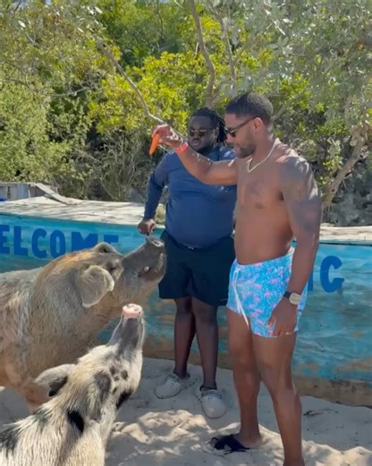 2.4K views | David Johnson on Reels | Facebook