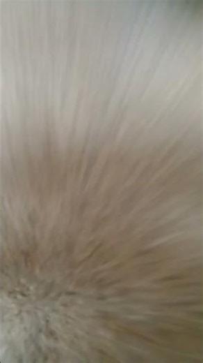 24 de octubre de 2025