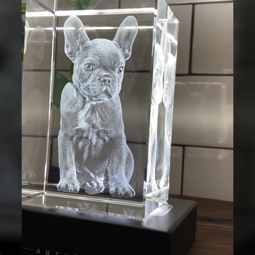 Crafted with our iconic, optically clear K9 crystal, each item in the ALL-NEW Pet Series was made to preserve your fondest, furriest memories in a mesmerizing keepsake that can be handed down for generations! 😻 | ArtPix 3D