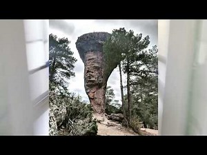 Eerie encounters in forests.