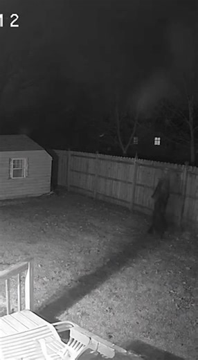 What did my security camera just catch? 😳 Creepy figure lurking in the backyard. Watch until the end. #paranormal #caughtoncamera #creepy #securityfootage #horror #scary #spooky #unexplained #fyp