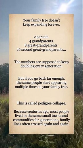 Pedigree Collapse Explained: Why Your Family Tree Starts Repeating Itself