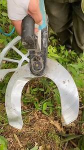 Amazing #srkgarden #garden #tipsforgarden #greengarden #gardens #gardendecor #gardenideas #gardenlover #gardengoals #gardentipss #gardenroses #gardenplants #gardenview #indoorgarden #backyardgarden #gardenshouse | SRK