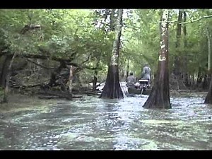 Go-Devil 23 HP Longtail