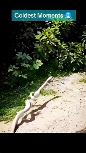 Coldest Moments: Unforgettable Chill Experiences