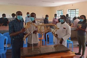 Studying at the Meat Training Institute, Athi River
