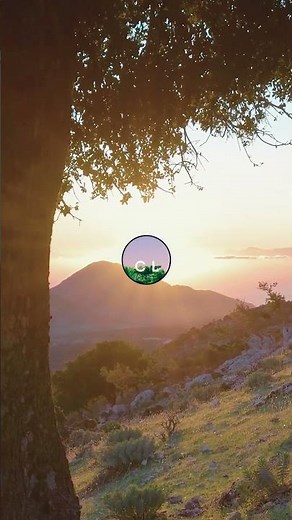 Summer Chill Music | Relaxing Instrumental Music 2026