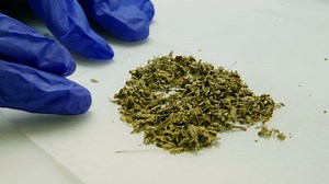 The dangerous high of synthetic weed