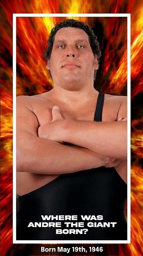 Andre the Giant