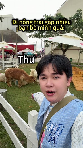 Khám Phá Nông Trại Cùng Bạn Bè