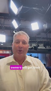 Top Halloween costumes for pets