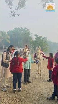 Learning Through Horses | Part 1 of 3: How to Approach a Horse | 2026