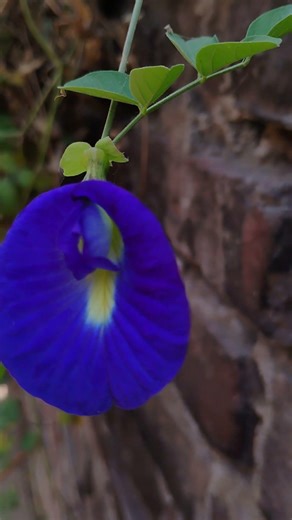 Among all these lovely sights,You’re still my favorite view,Every single time 💕