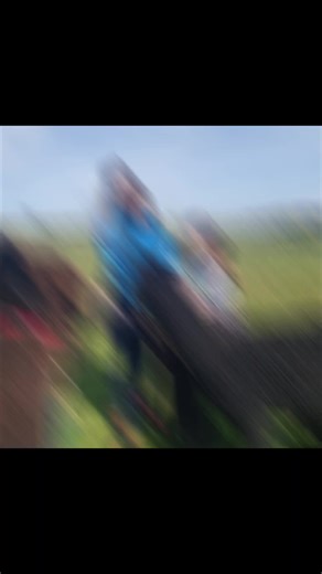 Alpaca Walking! Did you know that alpacas can be trained to walk on a lead, though they may require some patience and persistence to get used to it. It is important to use a well-fitted halter and lead designed for alpacas, and not to walk them too far or too fast, as they are not naturally inclined to move quickly. #foryoupage #alpacawalking #familyrunbusiness #haverfordwestcounty #haverfordwest