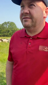 Usa halal meat | USA Halal Meat Inc.