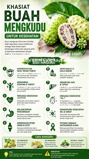 🍃 Noni fruit is a natural herbal remedy rich in health benefits for the body. #herbalmedicine
