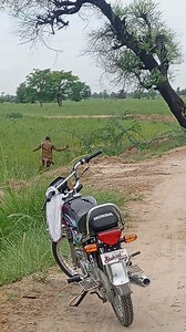 248K views · 1.1K reactions | New video Starling hunting | Hunting in Pakistan | Facebook