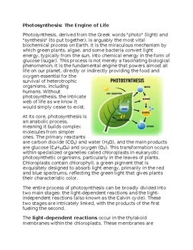 Photosynthesis Worksheet for Sub-Plan or Classwork & Homework