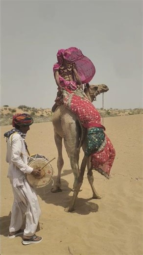 مستحيل تصدق ما حدث للعروس فوق الجمل… امرأة عجوز تهزّها بقوة على صوت الطبول! 😱🐪