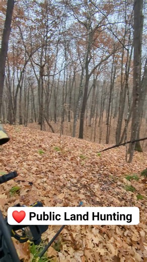 450 reactions · 19 comments | Gun season and Bow season are 2...