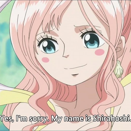 Luffy introduces Shirahoshi