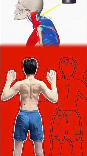 ❤️🏆 Shoulder Exercises to Improve Posture 🧍