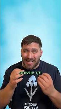 ים המלח 2030