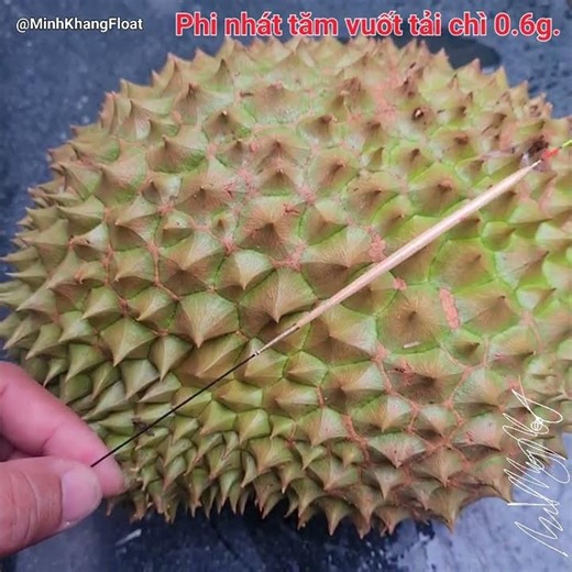 Phi nhát tăm vuốt tải chì 0.6g.