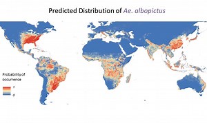 19K views · 310 reactions | For decades, the mosquito-transmitted...