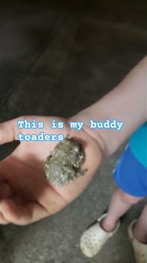 my friend toaders #buddy #cool #funny