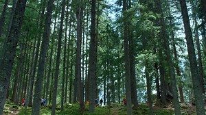 1.3K views · 22 reactions | Whats behind the HOKA hype? Check out this inspirational video about the origin of the HOKA brand, and the running shoe that was made by runners for runners | Hoka One One | Facebook