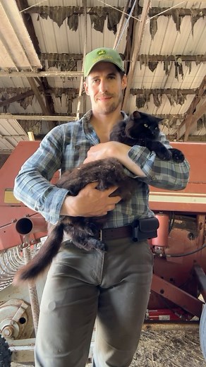 Draconblue on Instagram