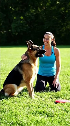 Flying German Shepherd: Incredible Jump Over Human in Action!