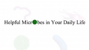 Helpful Microbes in Your Daily Life (Screencast)