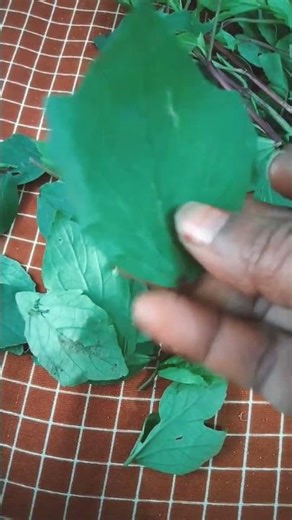 # eating gongura # healthy # beauty