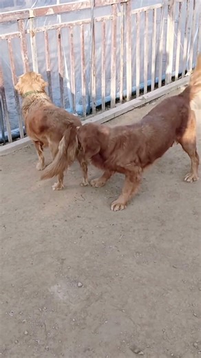 Old Power Meets New Power 53