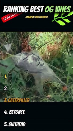 These OG Vines Broke the Internet?!