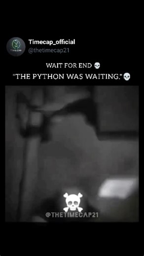 Timecap_official on Instagram: "Stop scrolling!🤯 There’s a crucial difference between a defensive strike and a predatory attack. In rare, suspicious cases, pythons exhibit hunting behavior toward humans. Know the signs of a python 'measuring' its potential prey. We detail the species most often involved and what never to do if you encounter a constrictor of this size. 🛑 Stay informed and safe! #SnakeSafety #WarningSigns #AnimalAttack #Python #wildlifefacts #viralreels #instagood #trending . .