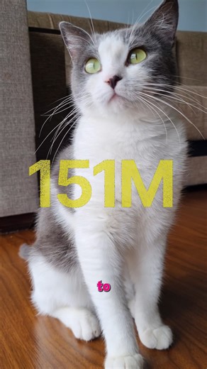 In 2024, 1.2 billion animals were killed for consumption in the UK and 2.6 million animals were used in scientific research. Both numbers raise important questions about how animals are used and valued in our society. Watch our full YouTube video where we break down what these figures really mean and how context matters when talking about animal use. 👉 Video link: https://www.youtube.com/watch?v=65pHMCjXPwQ&t=47s | Understanding Animal Research