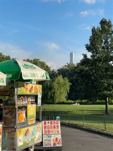 Hidden Castle in Central Park | Central Park, Manhattan | DewDropper